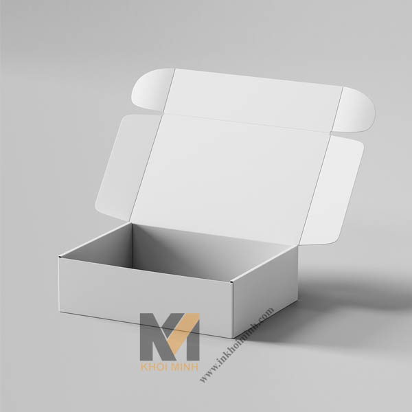 In-hop-carton---Mau-4